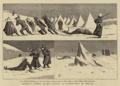 ナタールで吹雪が降った後の、AfricのSunny Clime 作： Charles Edwin Fripp